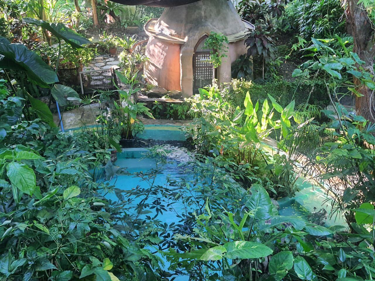 Morning light at the natural pool at Kapusod