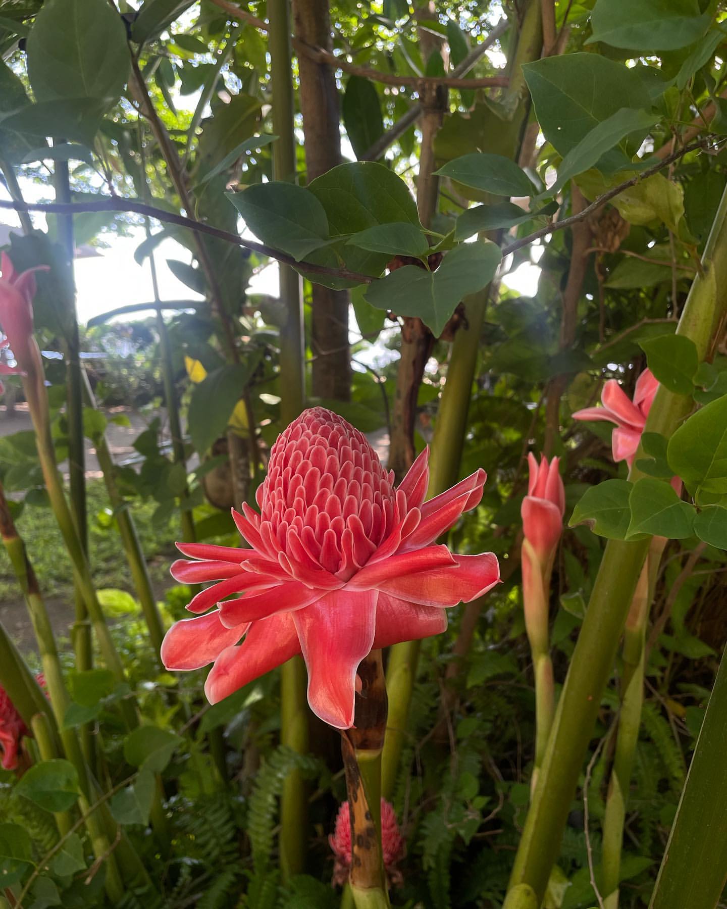Nature and wildlife coexistence at Kapusod