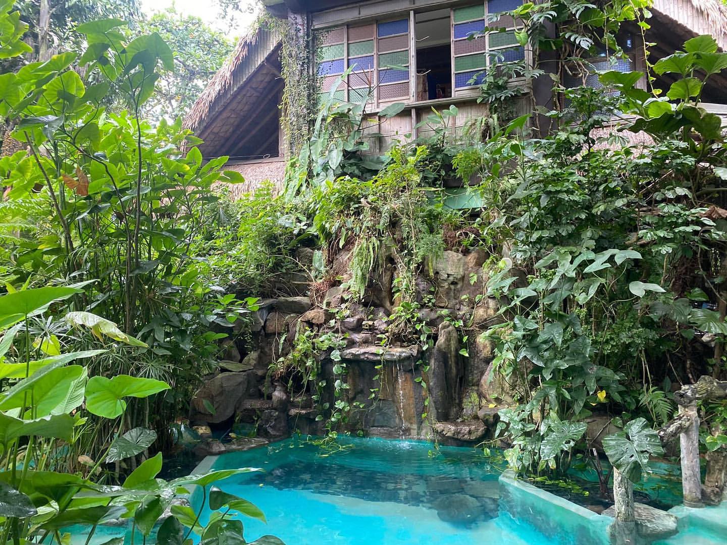Vertical garden and pool filtration system at Kapusod